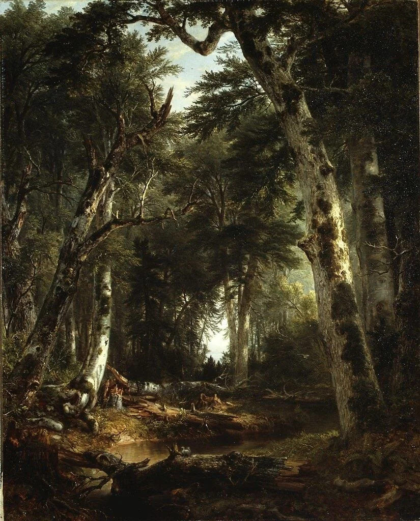 In the Woods, detail