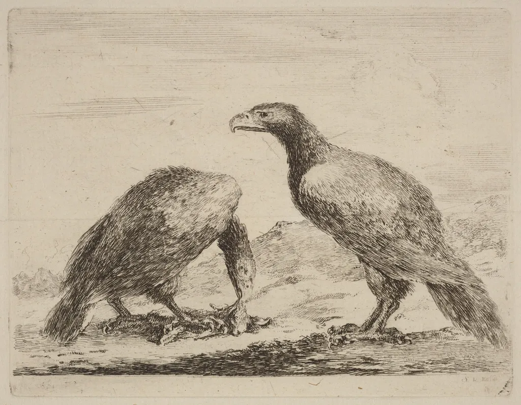 Two Eagles, One Eating a Small Lamb, by Stefano Della Bella, ink, 1637