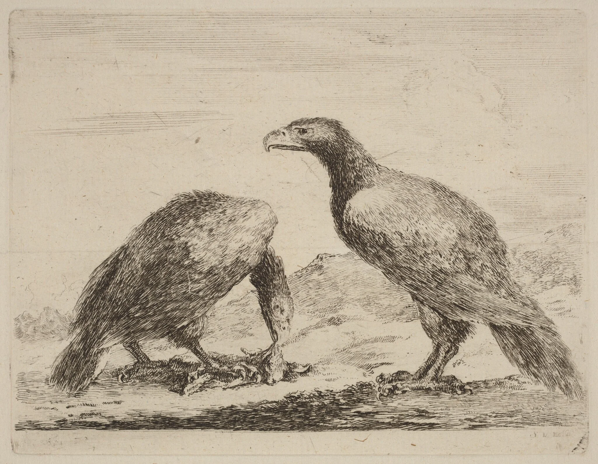 Two Eagles, One Eating a Small Lamb, detail