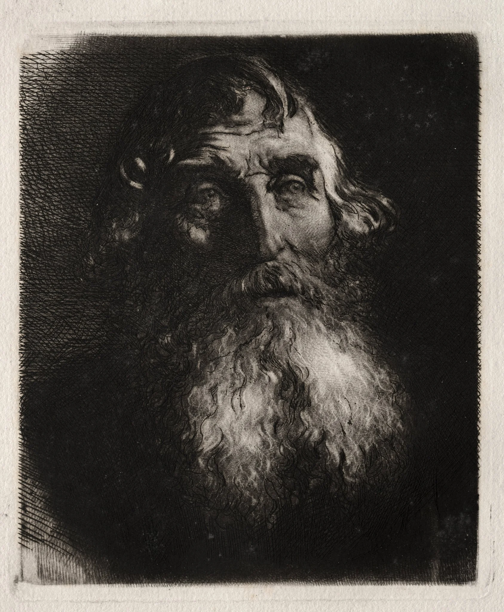 Study of an Old Man's Head, detail