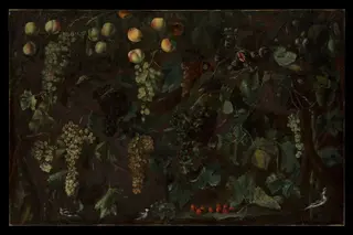 Grape Vines and Fruit, with Three Wagtails, by Bartolomeo Cavarozzi, oil, 1616