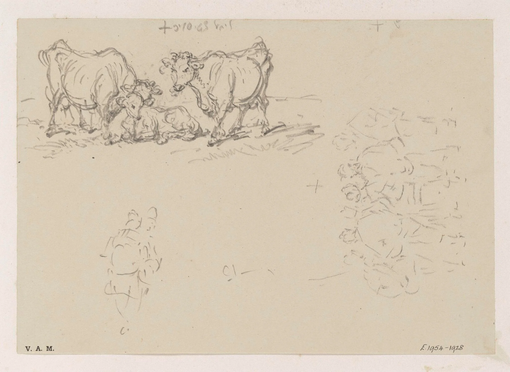 Cattle, with figure sketches, detail