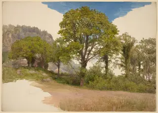 Trees Profiled against the Sky, by John Henry Hill, watercolor, 1865