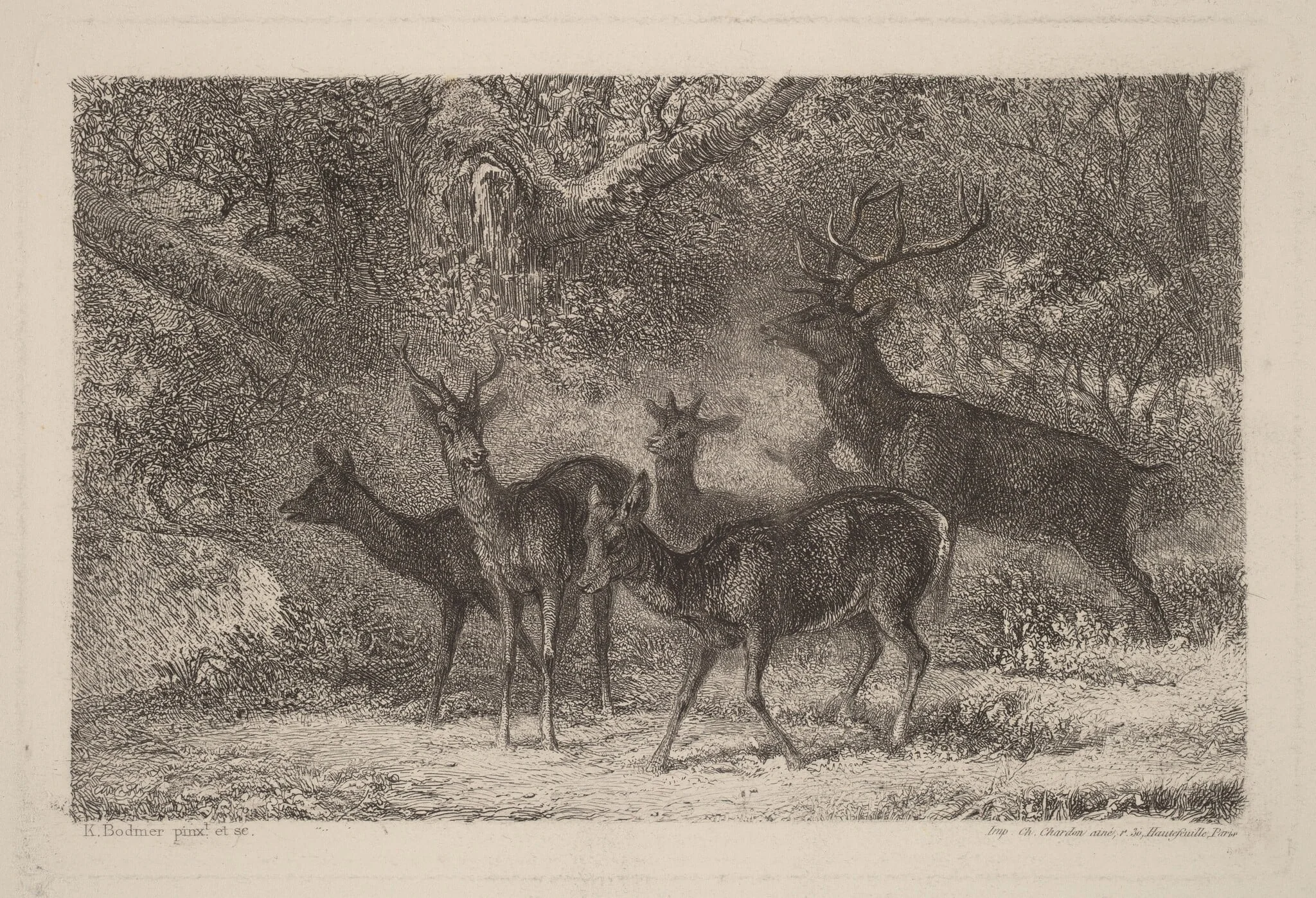 Le harde, detail
