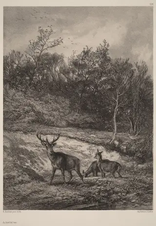 Au bord de l'eau, by Karl Bodmer, ink, 1851