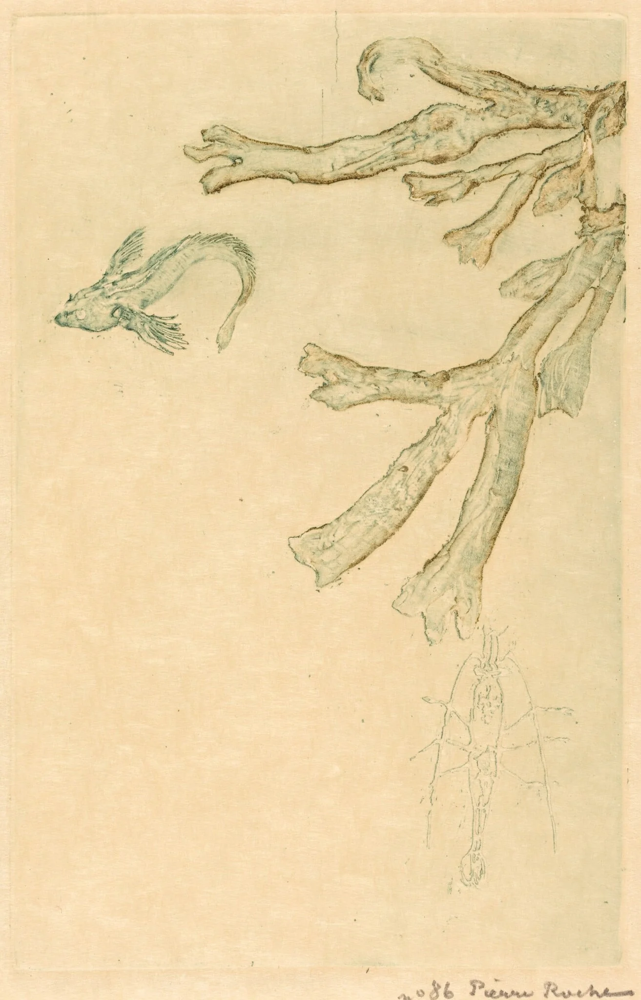 Marine Algae (Algues marines), detail