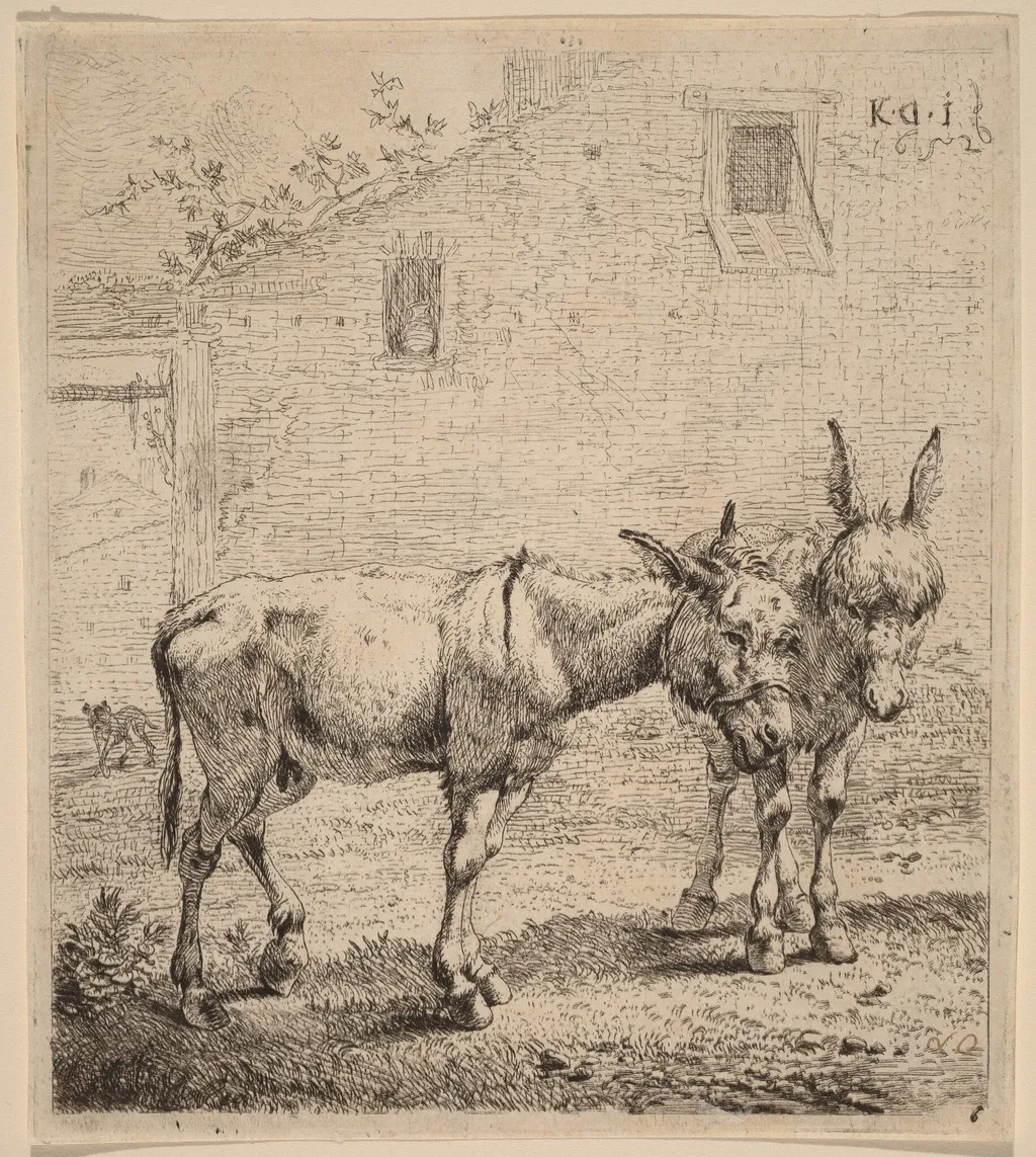 Two Asses, by Karel Dujardin, ink, 1652