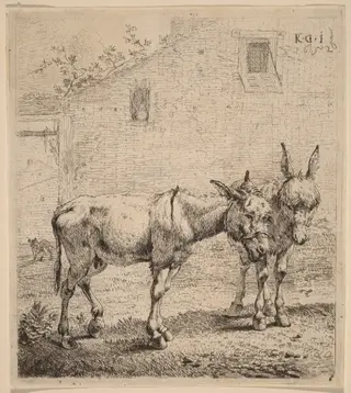 Two Asses, by Karel Dujardin, ink, 1652