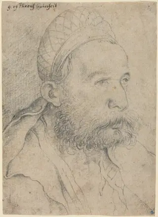 Portrait of a Man, by Leonhard Beck, chalk, 1515