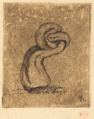 Le malingre cryptogame (The Sickly Cryptogam), by Charles Meryon, ink, 1860