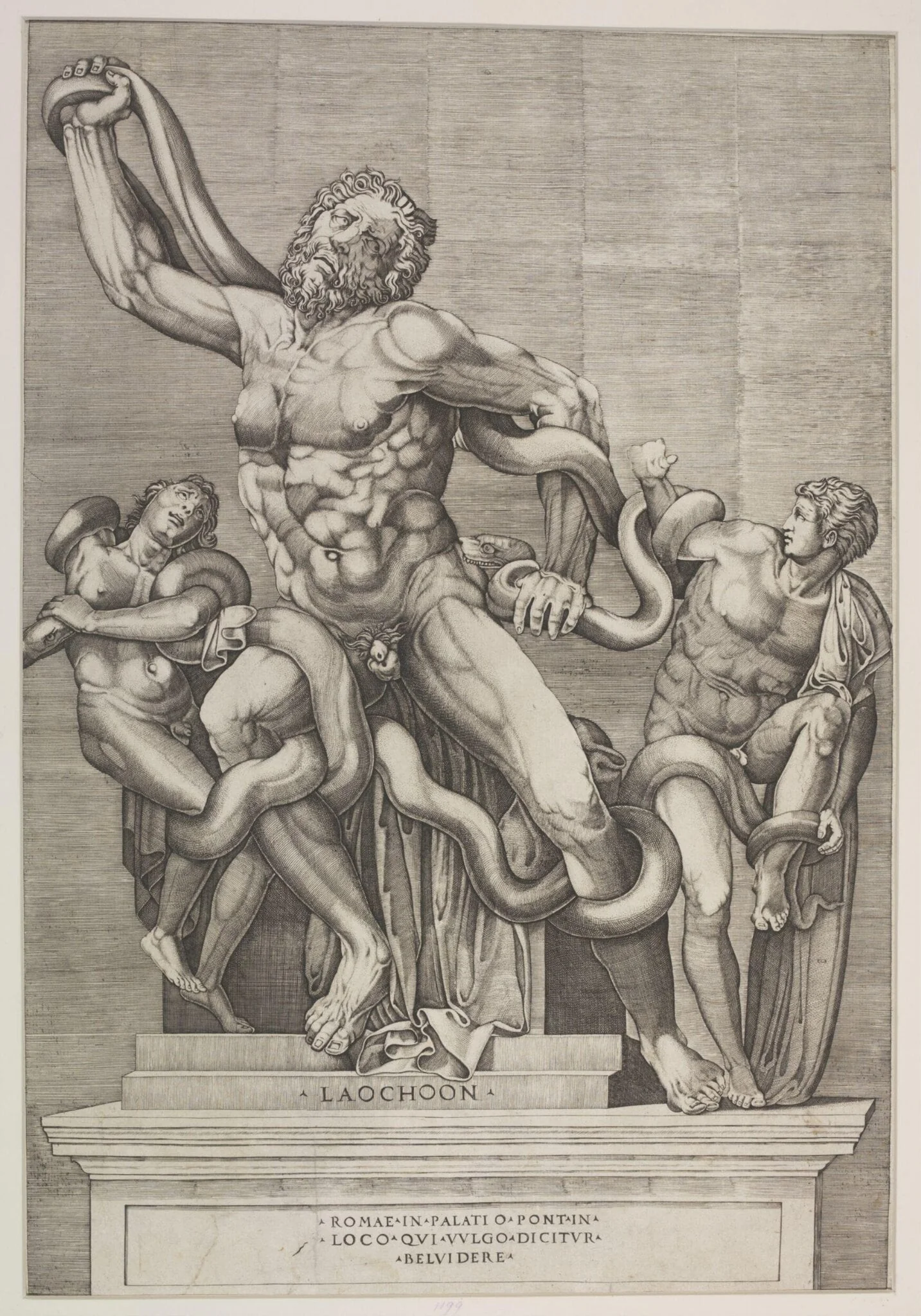 Laocoon and His Sons, detail