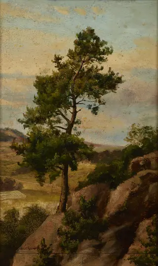 Stone Pine, by Henryk Grabiński, unspecified, 1883