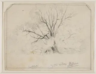 Old Willows, Fulham., by John William North, 1855