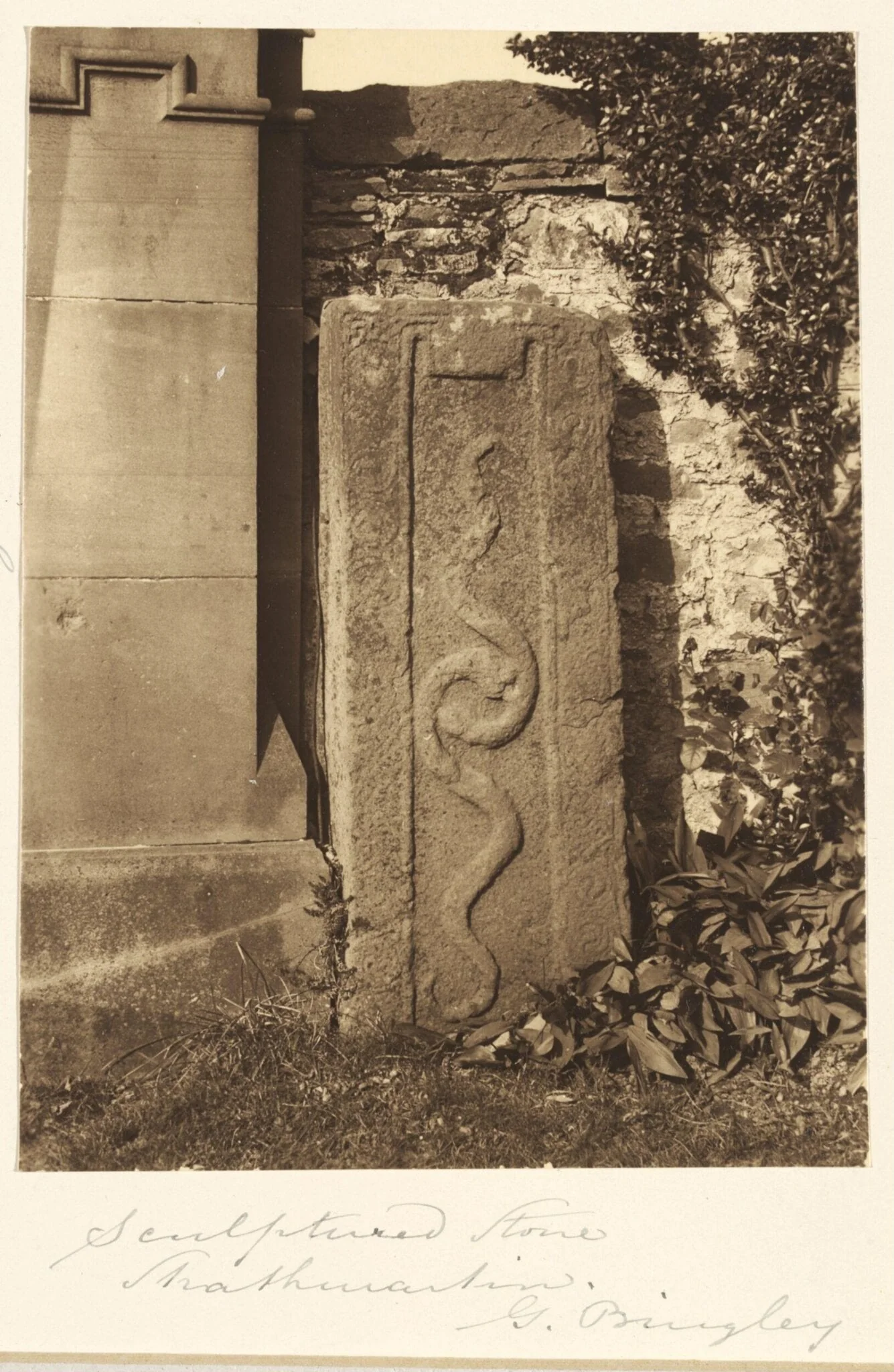 National Photographic Record and Survey, detail
