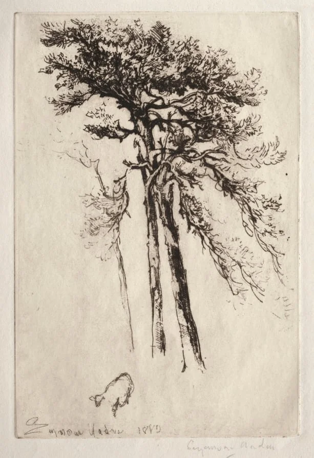 The Latest Tree, detail