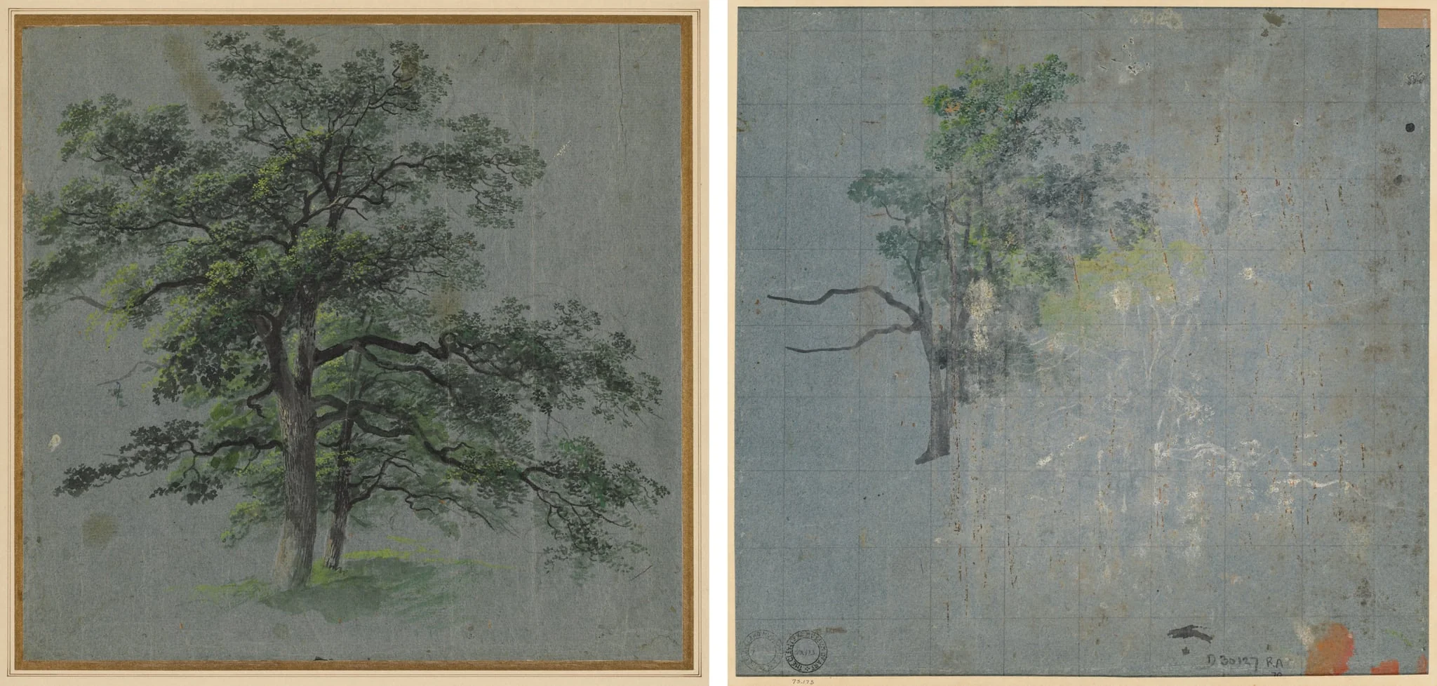 Two Trees (recto) Tree Studies (verso), detail