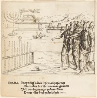 The Blossoming of Aaron's Rod, by Augustin Hirschvogel, ink, 1528