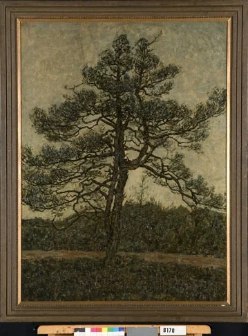 Denneboom, detail