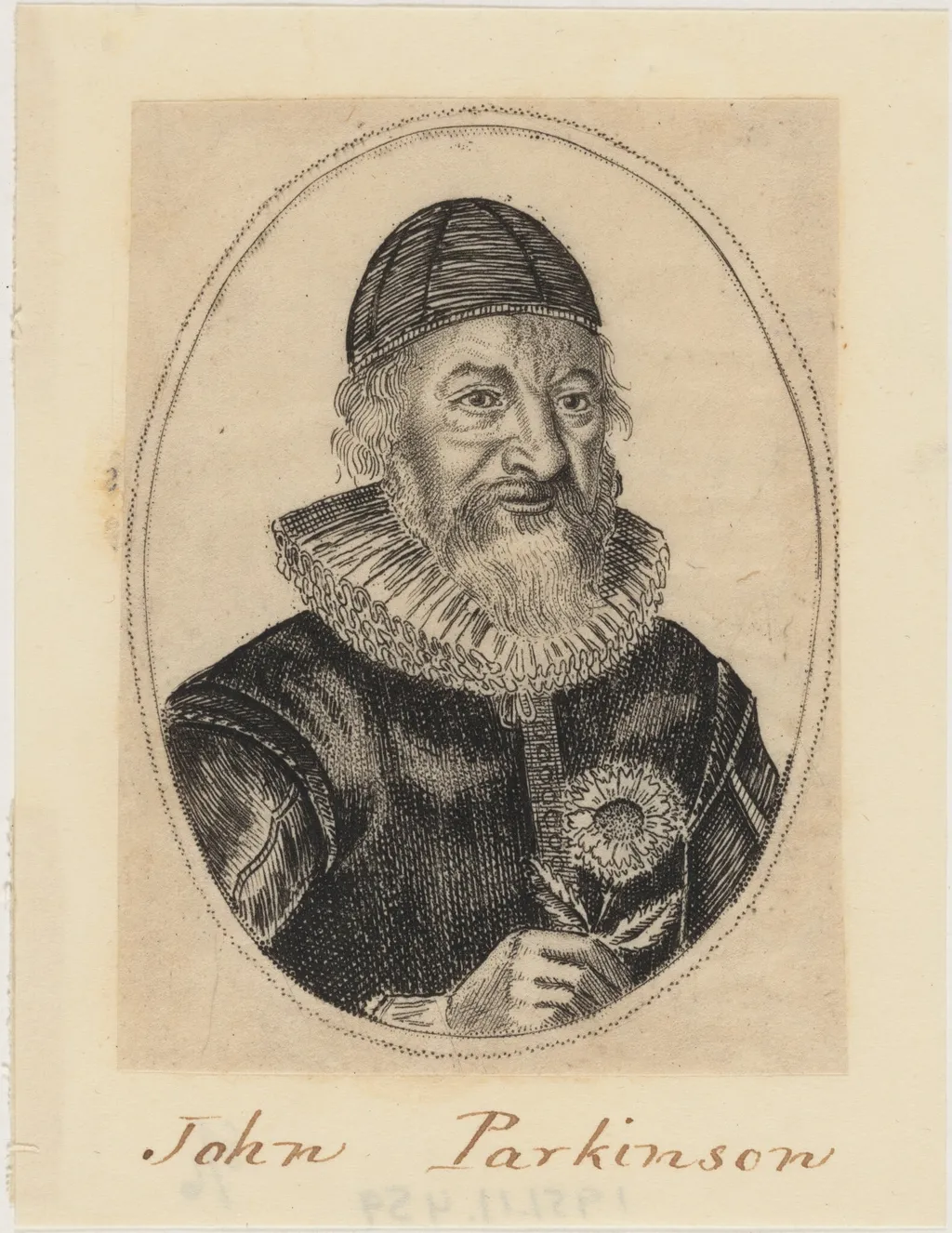 John Parkinson, Apothecary and Herbalist to James I, by William Marshall, ink, 1640