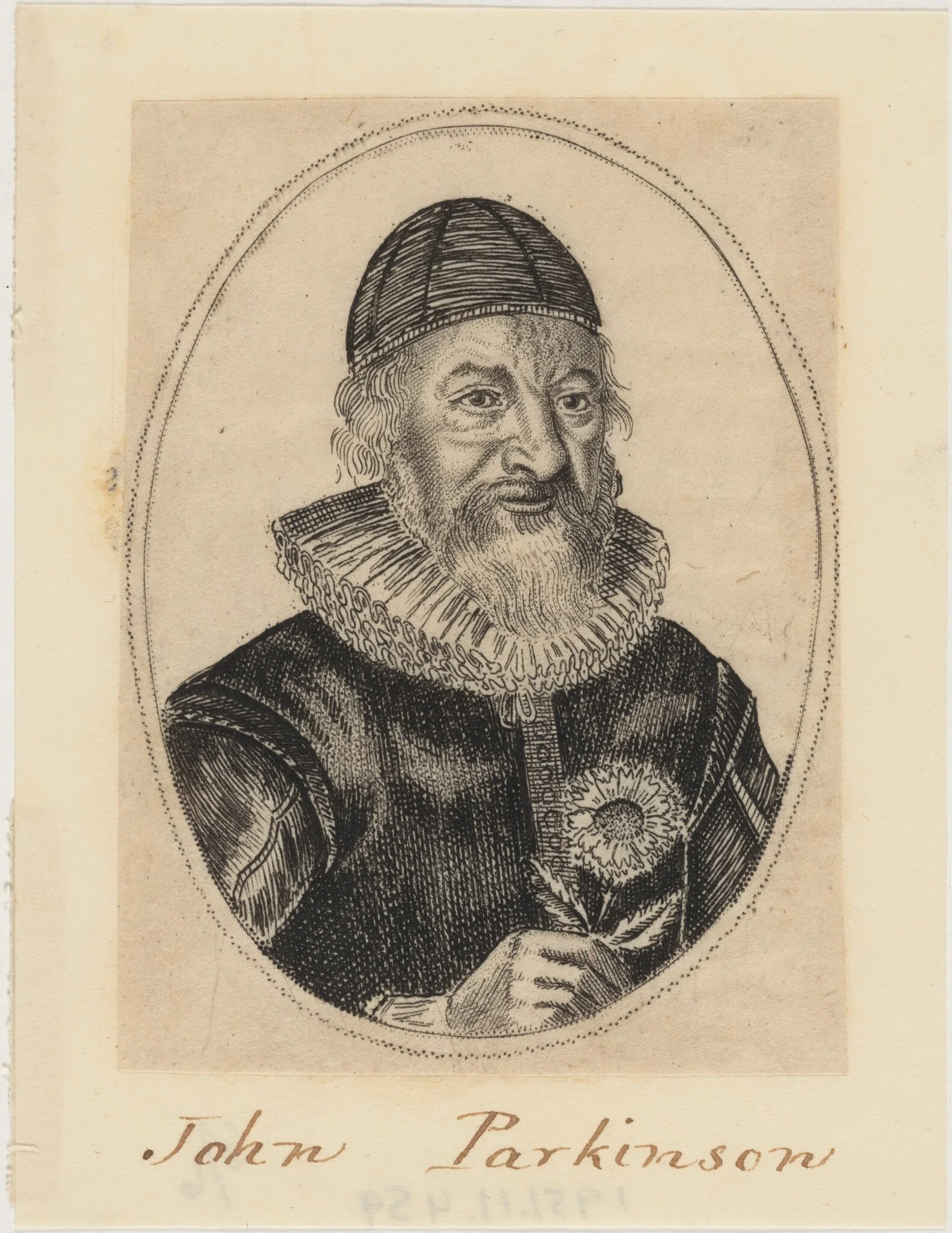 John Parkinson, Apothecary and Herbalist to James I, detail