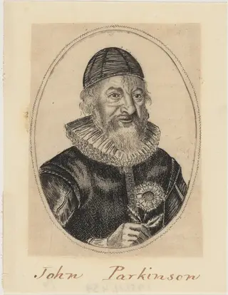 John Parkinson, Apothecary and Herbalist to James I, by William Marshall, ink, 1640