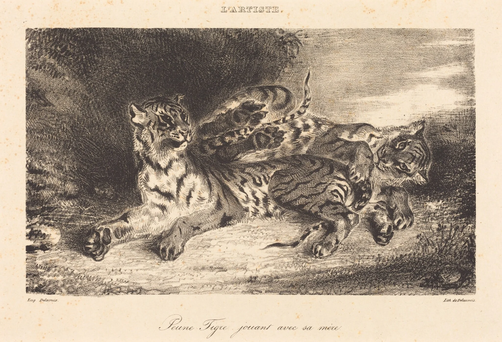 Young Tiger Playing with its Mother (Jeune tigre jouant avec sa mère), detail