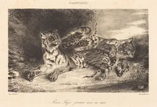 Young Tiger Playing with its Mother (Jeune tigre jouant avec sa mère), by Eugène Delacroix, ink, 1831