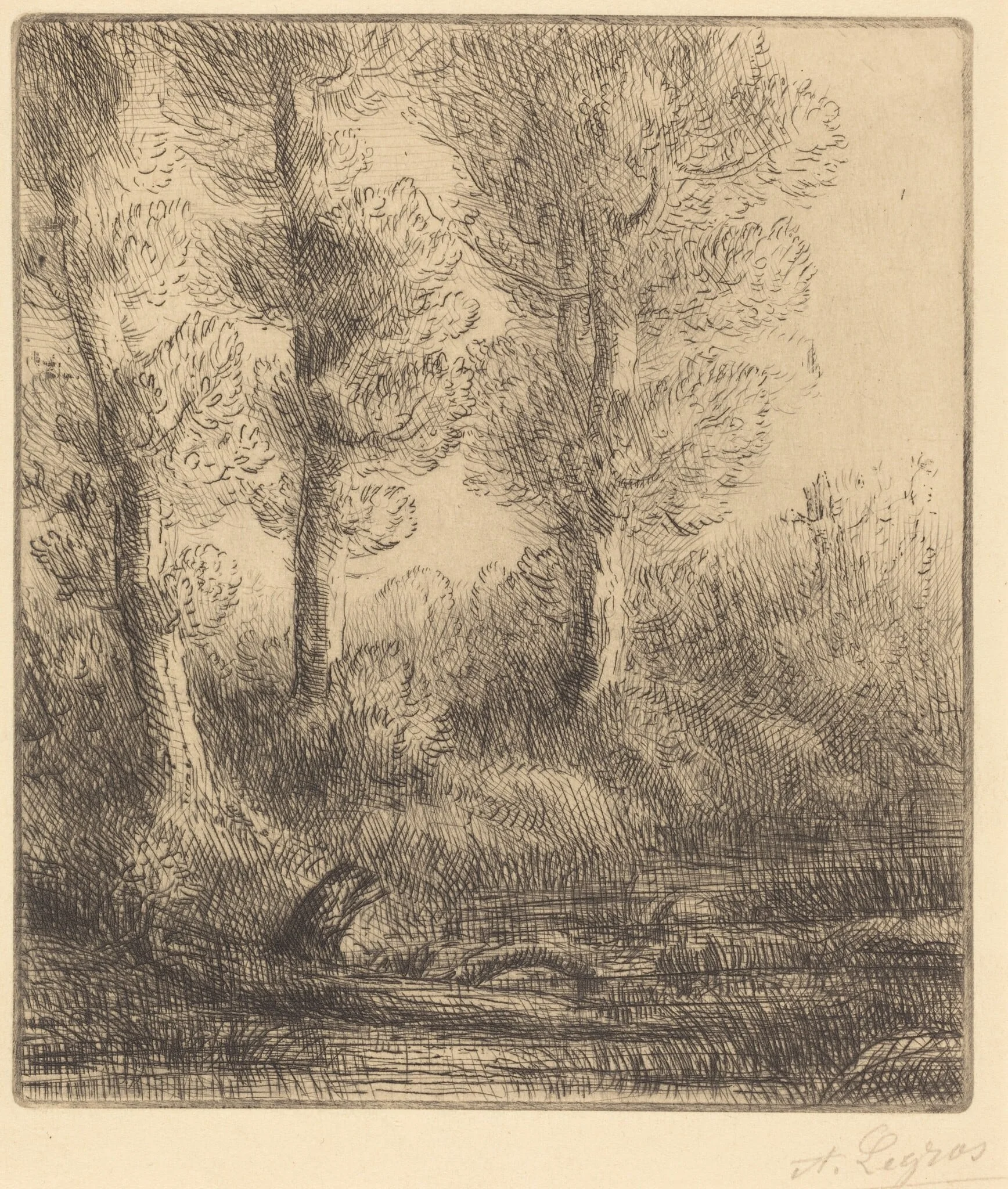 Banks of the Saint-Pre (Rive du Saint-Pre), detail