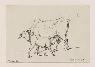 A cow and calf, by George Chinnery, 16