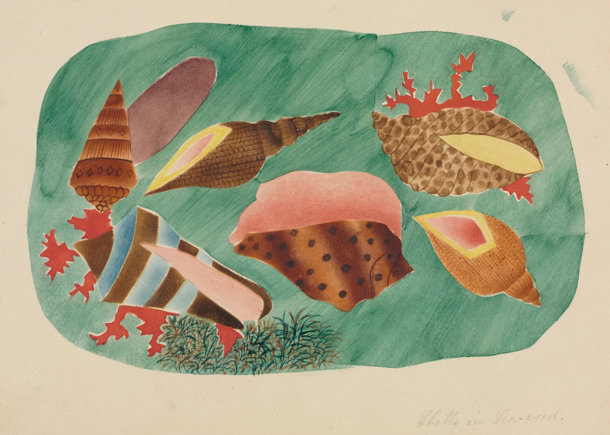 Shells in Seaweed, detail