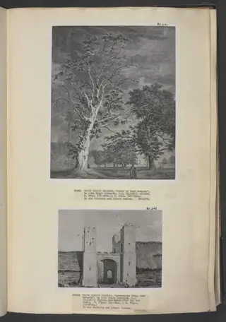 Study of park scenery, by John Inigo Richards, watercolor, 1755