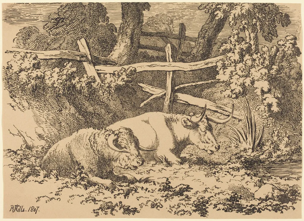 Cattle Resting, by Robert Hills, ink, 1807