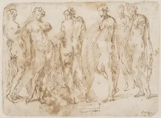 Six studies after an armless state of a female nude, by Domenico Gargiulo, 1650