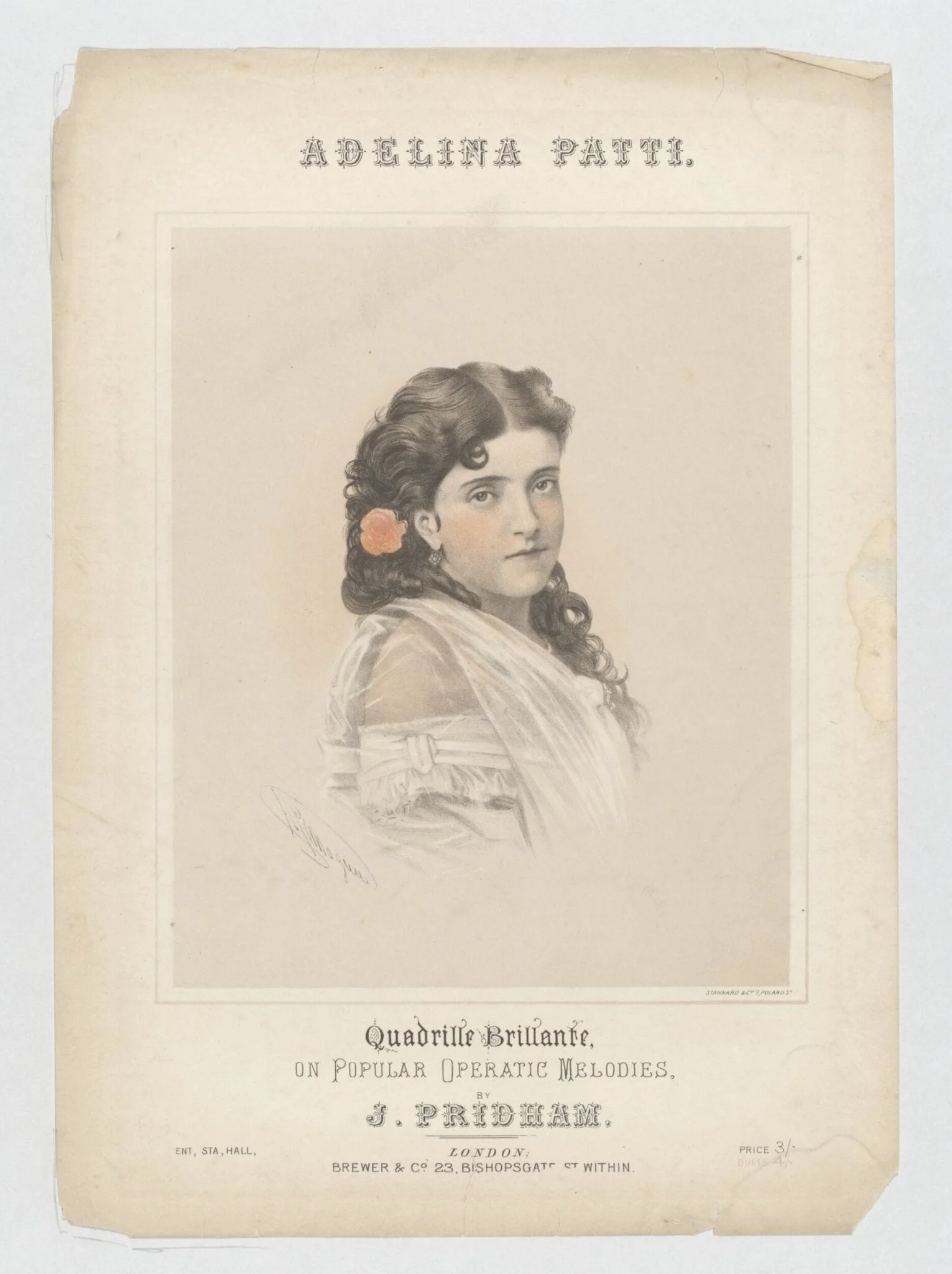 H Beard Print Collection, detail