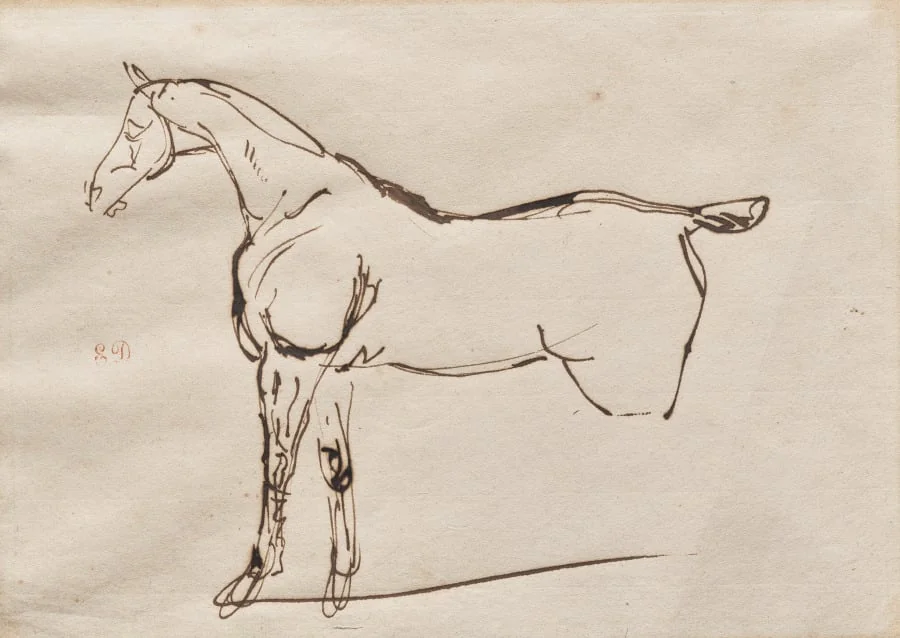 Study of a Horse, detail