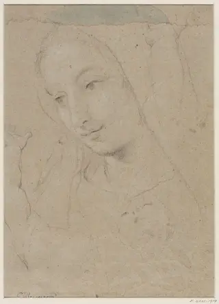 Head of a young woman, by Guillaume Courtois, 1650