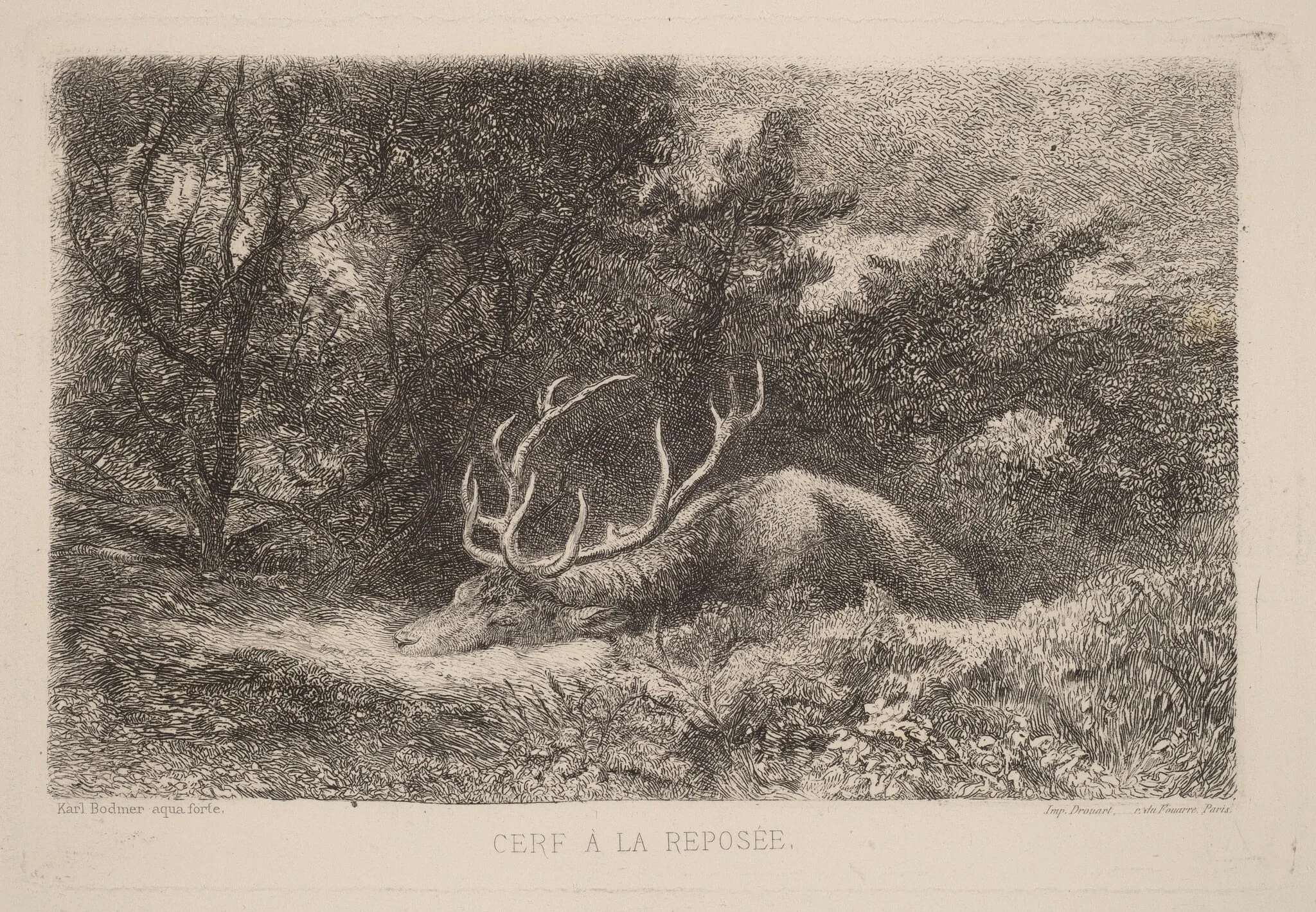 Cerf a la Reposee, detail