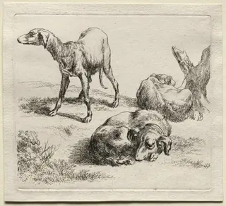 Animalia: Three Hunting Dogs, by Nicolaes Pieterszoon Berchem, 1659