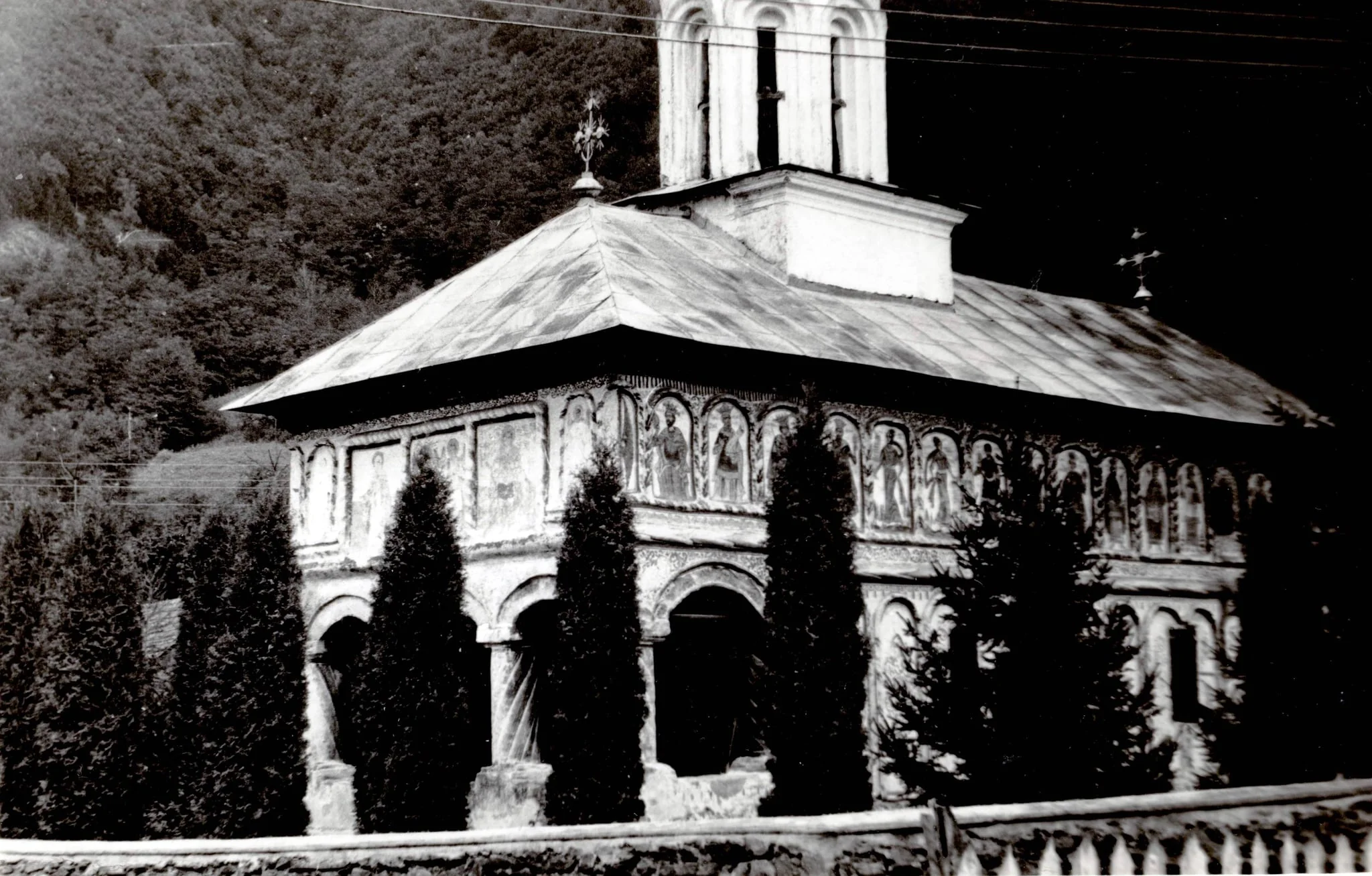 Biserica "Sf. Voievozi", Cîinenii Mici, comuna Cîineni, județul Vâlcea (1981), detail