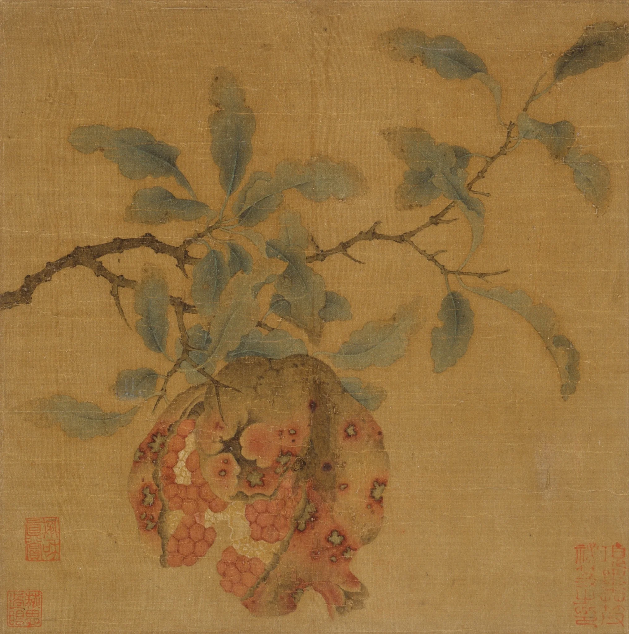 Pomegranate, detail