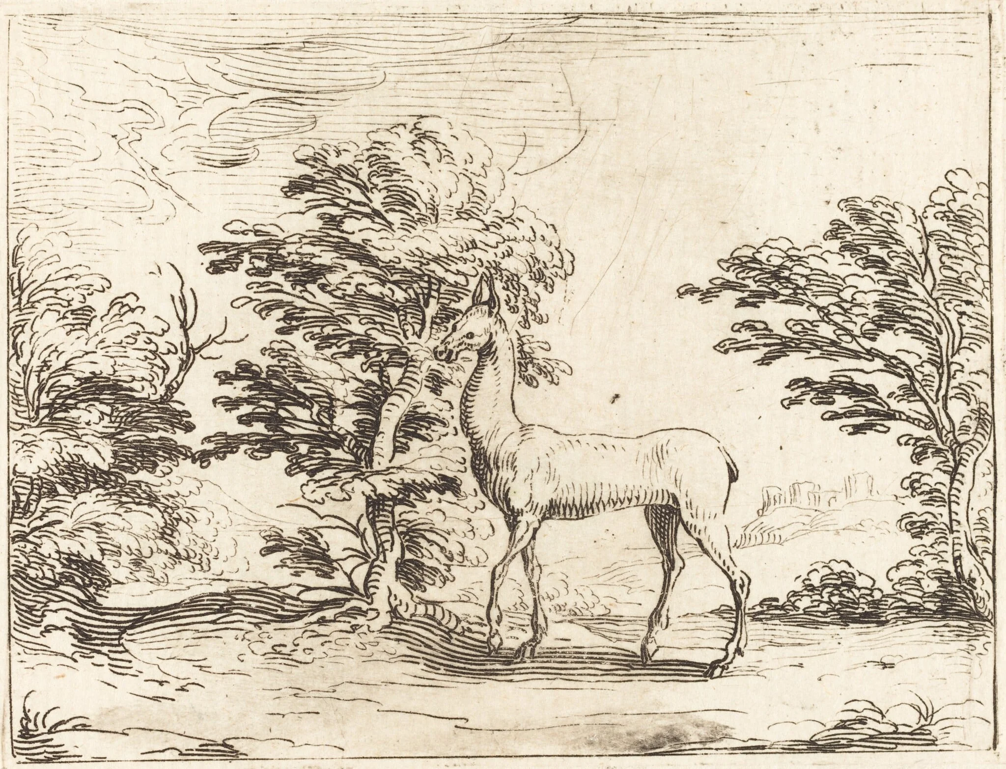 The Doe, detail