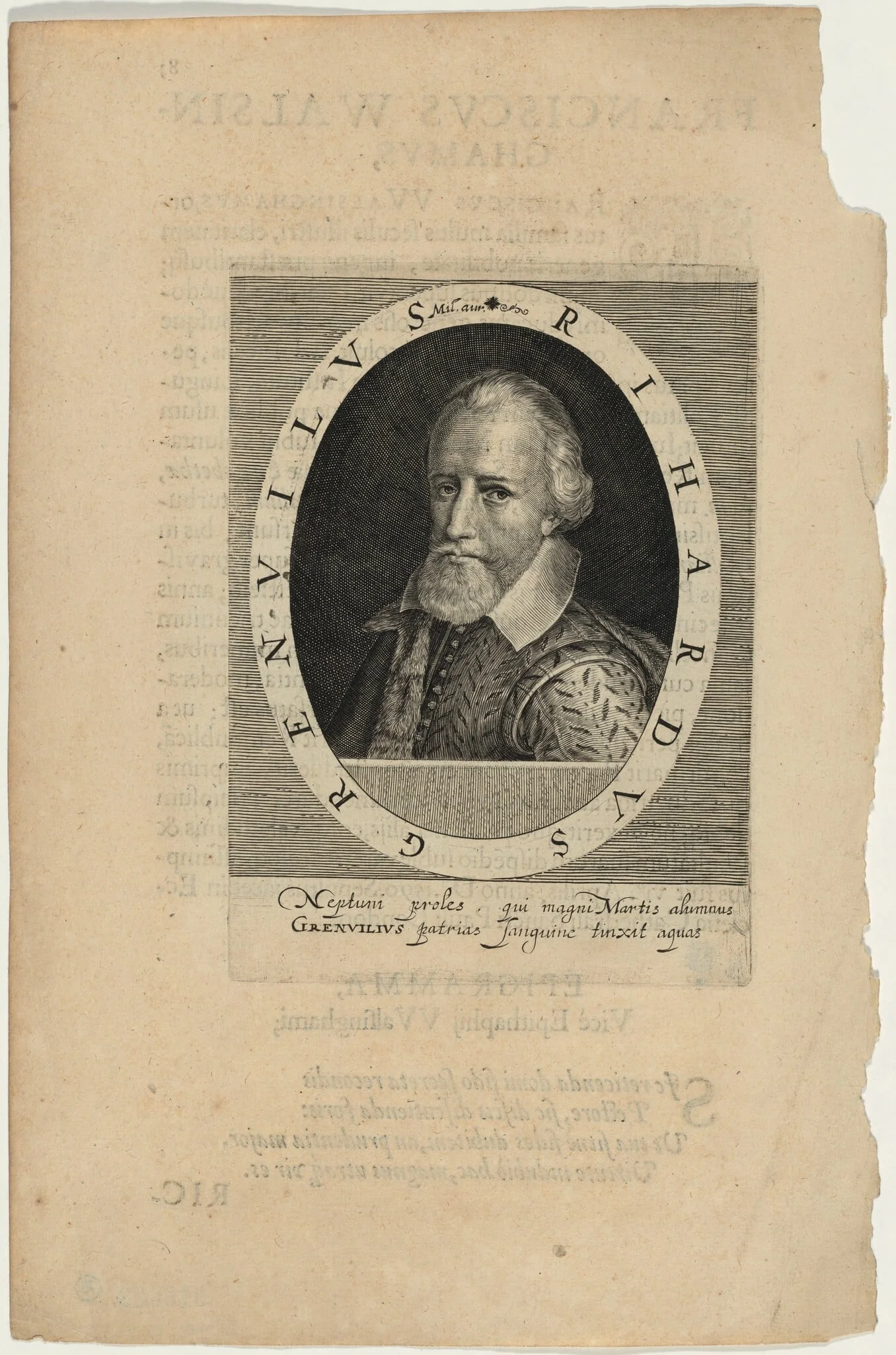 Sir Richard Grenville, Naval Commander, detail
