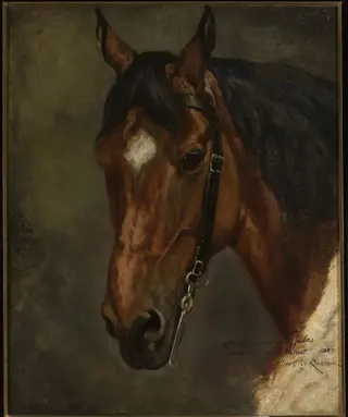 Horse's head, by Juliusz Kossak, oil, 1855