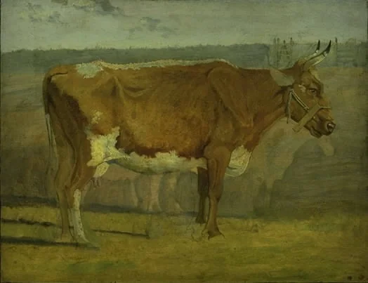 Study of a Cow, detail