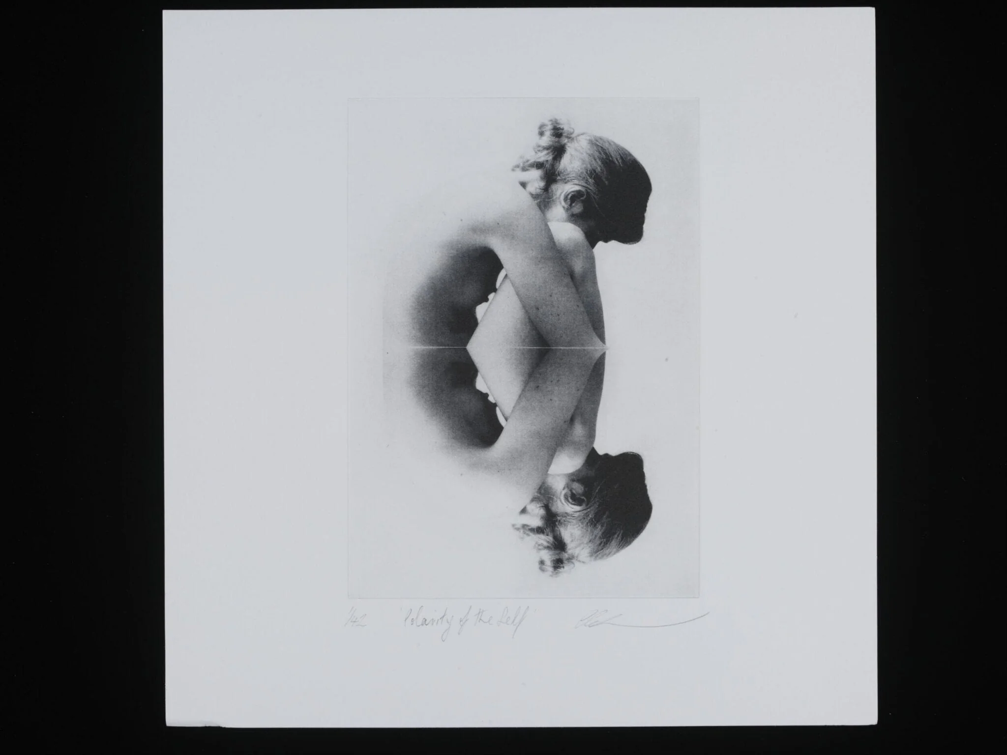 Polarity of the Self, detail