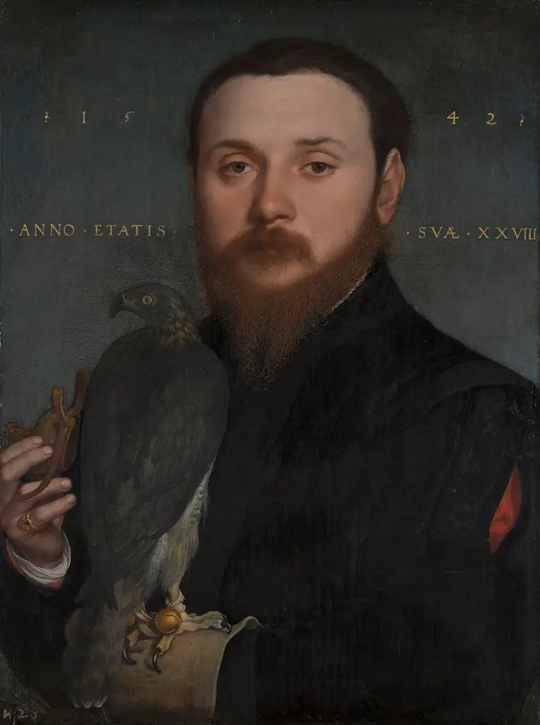Portrait of a Nobleman with a Hawk, by Hans Holbein the Younger, oil, 1542