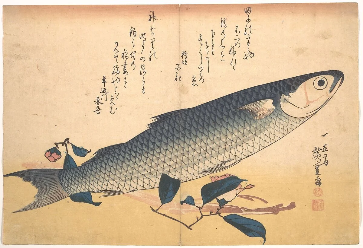 魚づくし ぼらにうど|Bora Fish with Camellia, from the series Uozukushi (Every Variety of Fish), detail