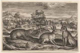 A Mole, a Badger, a Horned Hare and a Fox, by Adriaen Collaert, ink, 1597
