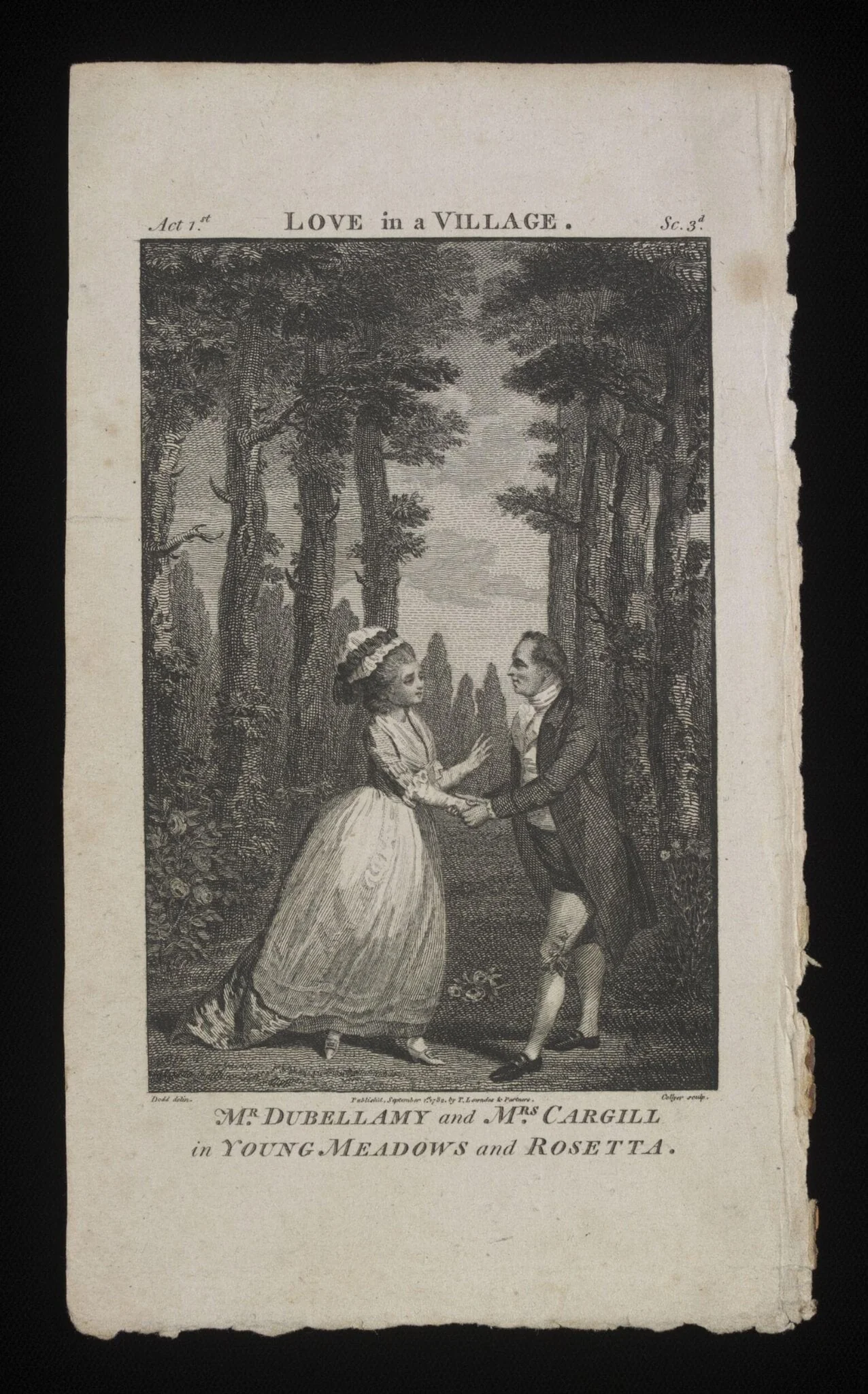H Beard Print Collection, detail