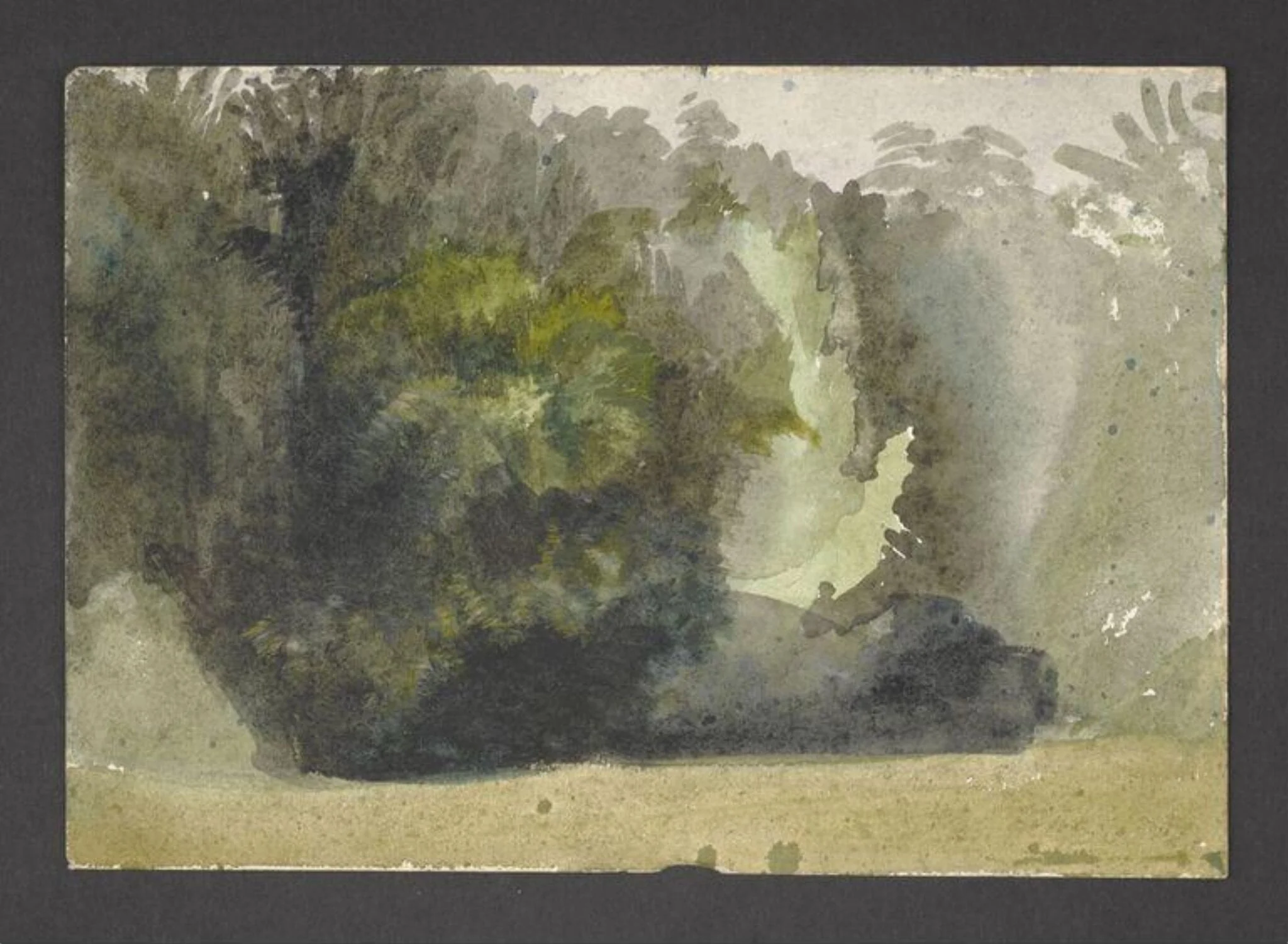 Study of a forest glade, detail